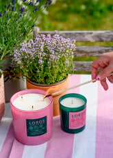 Soft Pink Stripe Tablecloth