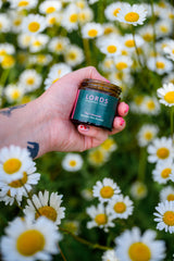 Discovery Candles