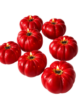 Heirloom Tomato Shaped Candle