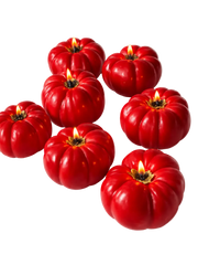 Heirloom Tomato Shaped Candle