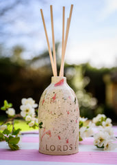 Ensemble diffuseur à roseaux en céramique