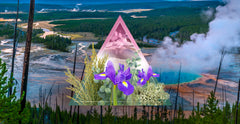 Aceite de fragancia de Yellowstone