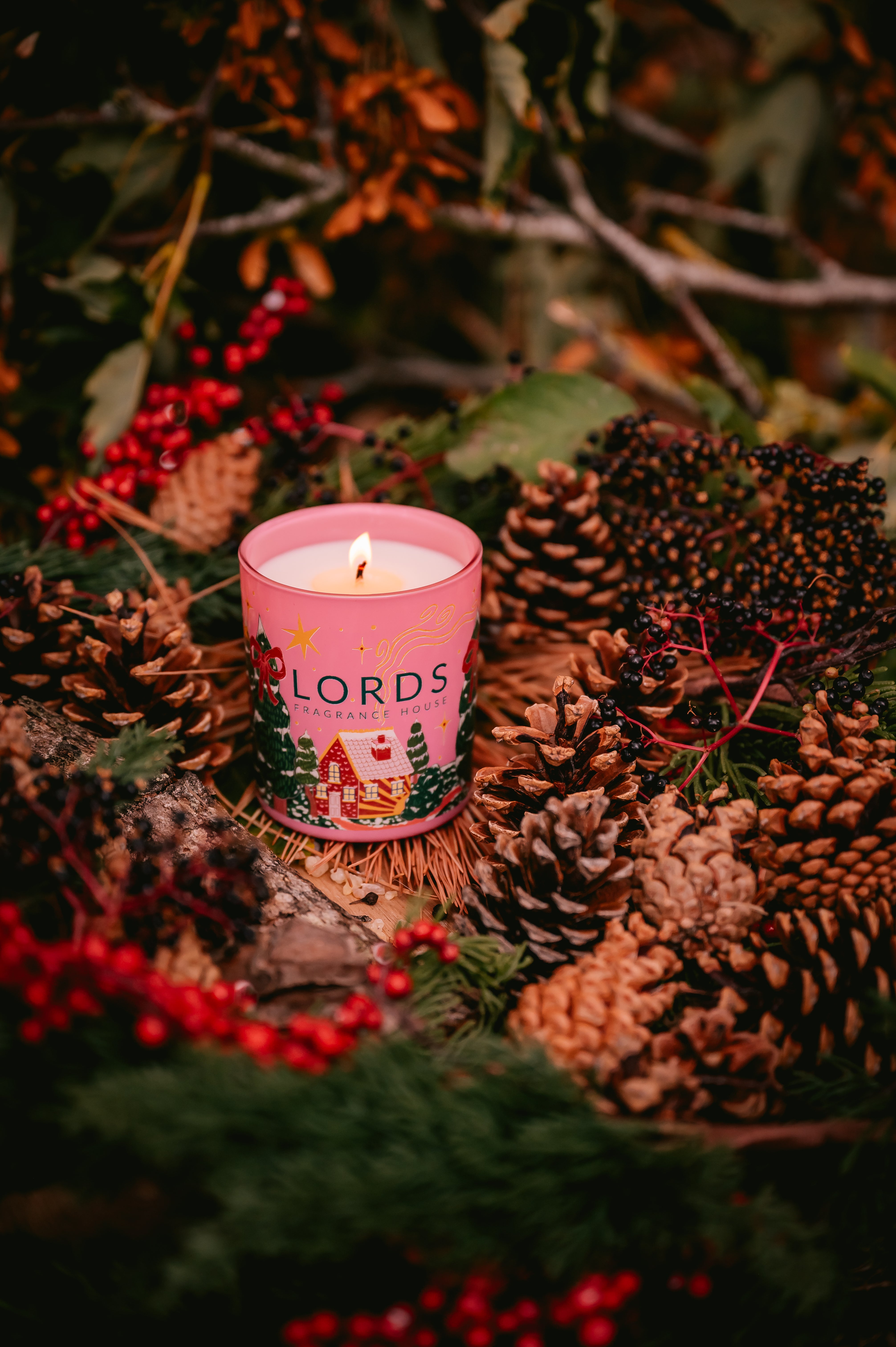 Abernethy Forest | Pine, Peppermint & Cedarwood Winter Scented Candle | 1 wick